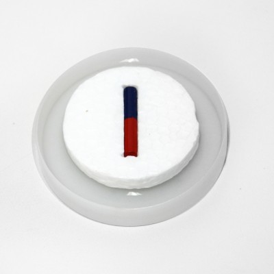 //cdn.labbox.ru/site-2375/nabor-po-magnetizmu/magnet-6_enl78.jpg