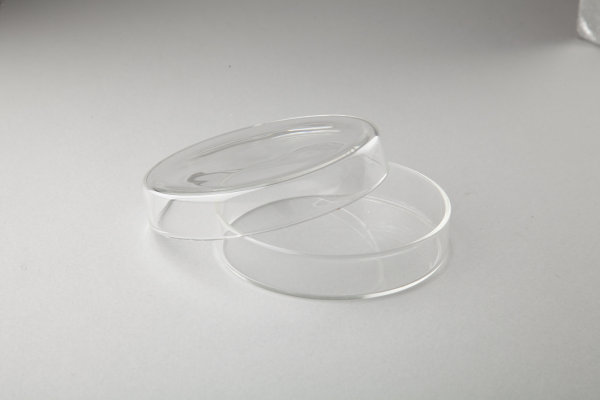 Чашка Петри