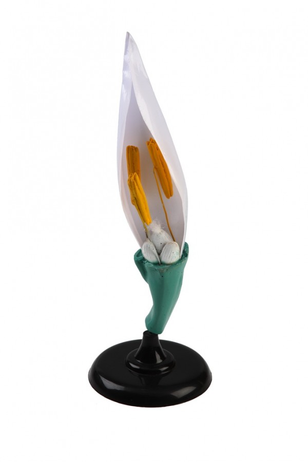 Модель цветка пшеницы