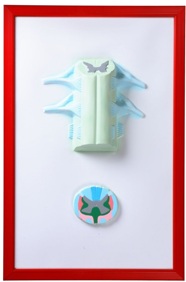 Позвоночник человека (барельефная модель)