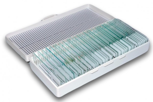 Набор микропрепаратов к микроскопу